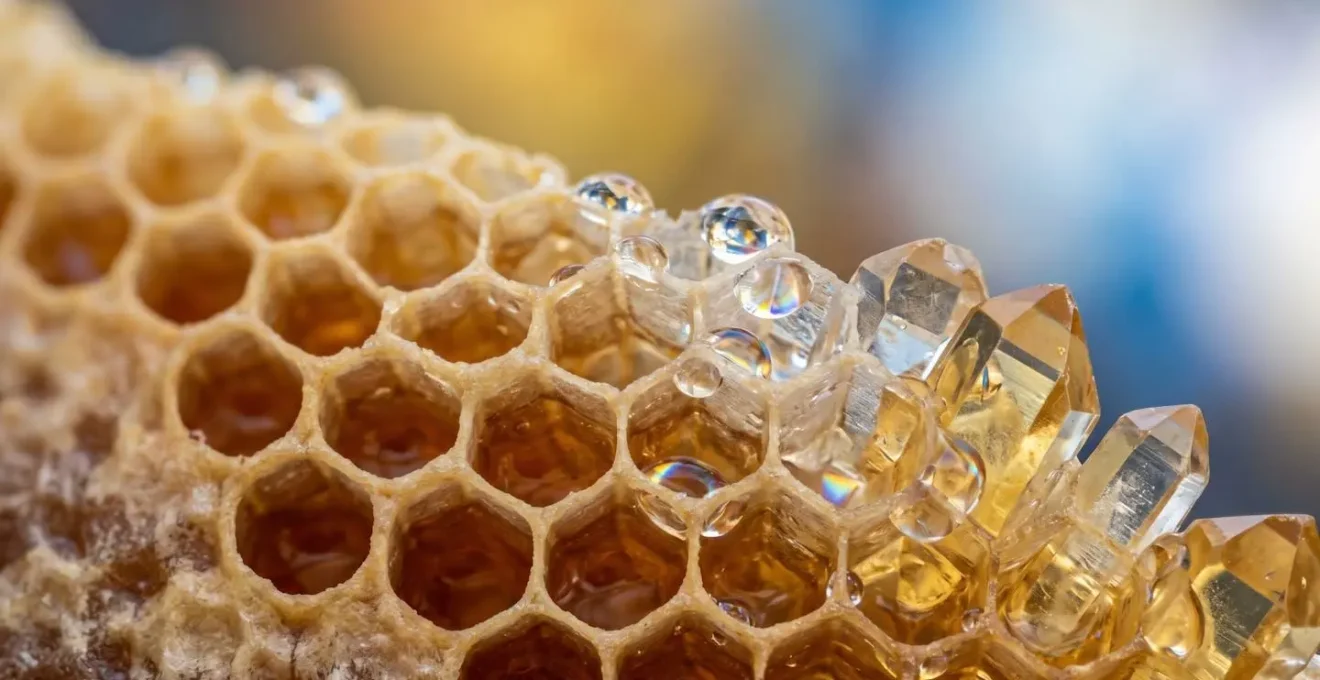Macro view of data patterns transforming into clear insights